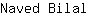 N***l