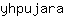 y***a