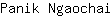 P***i