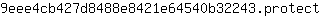 9***t