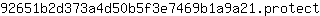 9***t