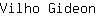 V***n