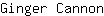 G***n