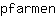 p***n