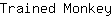T***y