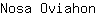 N***n