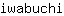i***i