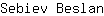 S***n