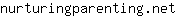 n***t