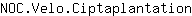 N***n