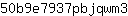 5***3