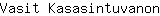 V***n
