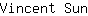 V***n
