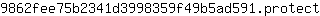 9***t