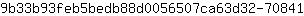 9***1
