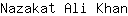 N***n