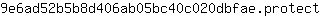 9***t