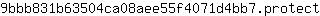 9***t