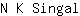 N***l