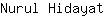N***t