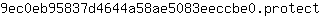 9***t