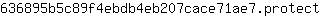 6***t