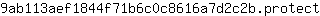 9***t