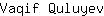 V***v