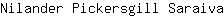 N***a