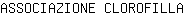 A***A