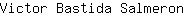 V***n