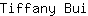 T***i