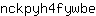 n***e