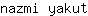 n***t