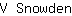 V***n