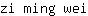 z***i