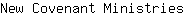 N***s