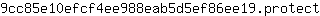 9***t