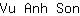 V***n