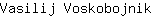 V***k