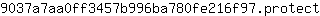 9***t