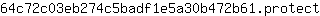 6***t