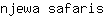 n***s