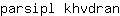 p***n