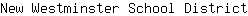N***t
