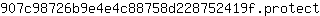 9***t