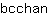 b***n