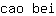 c***i