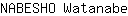 N***e