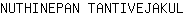 N***L